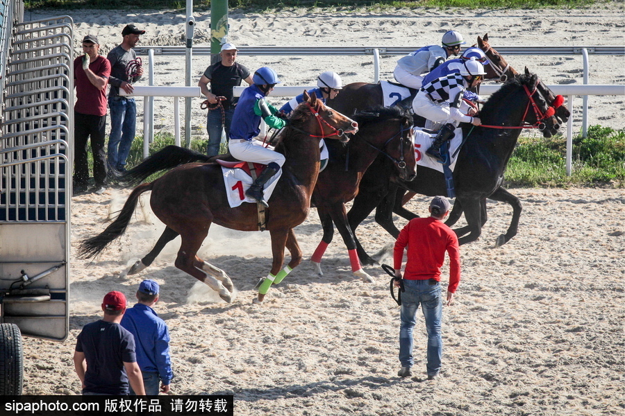 俄羅斯Pyatigorsk競技場 民眾縱馬馳騁享受休閑時(shí)光