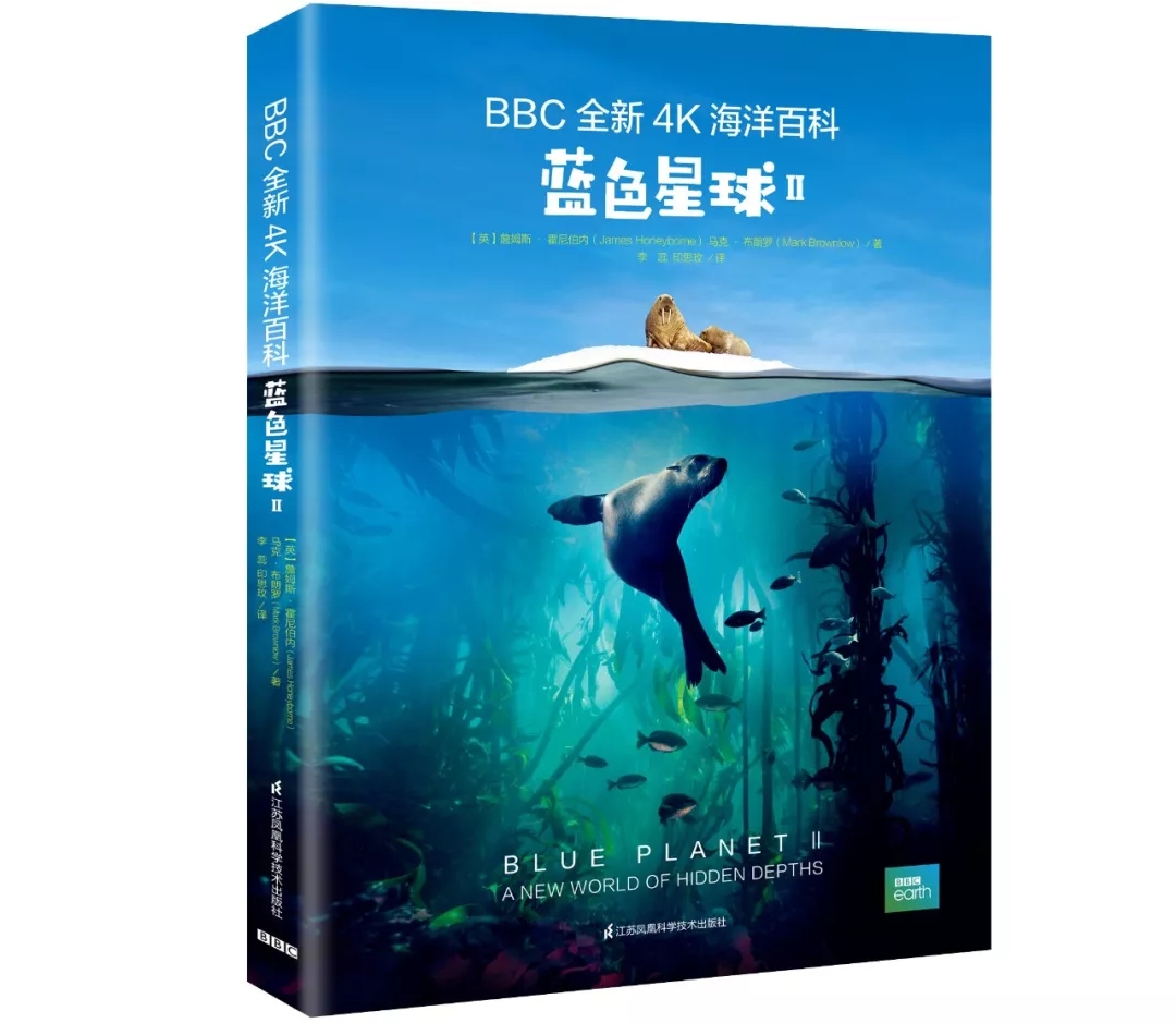 BBC《藍色星球Ⅱ》出書了，讀完想和海洋說聲：對不起