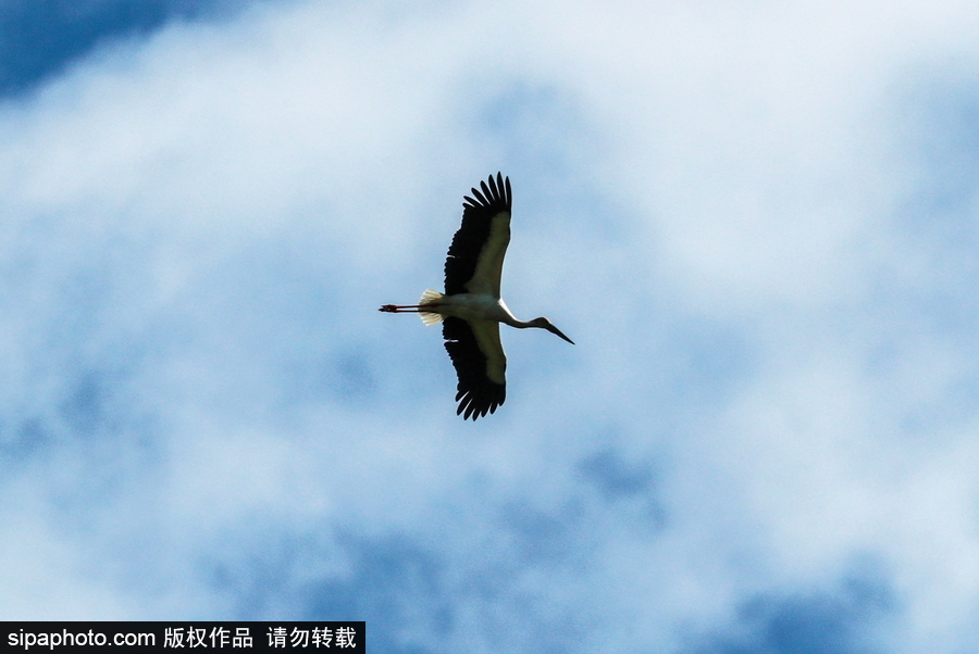 遠(yuǎn)離塵囂的動物棲息地 探訪俄羅斯別廖佐夫斯基自然保護(hù)區(qū)