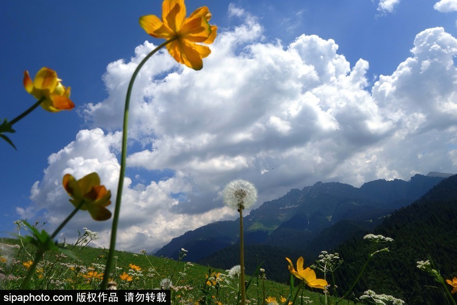 藍(lán)天白云刷屏！盤點(diǎn)風(fēng)清日朗的絕美風(fēng)光 為眼睛降溫