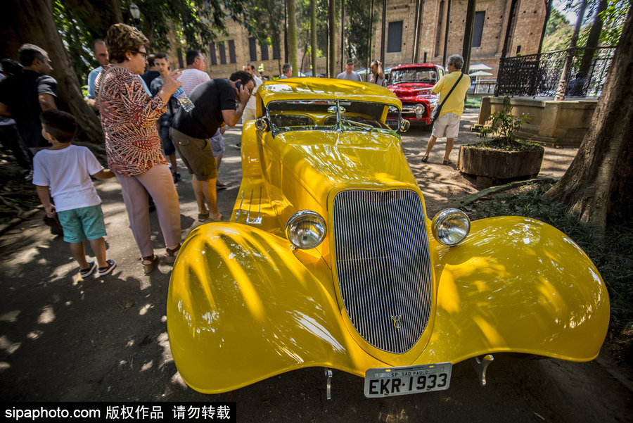 愛車人士大飽眼福！超百輛古董汽車在巴西圣保羅集會(huì)展出