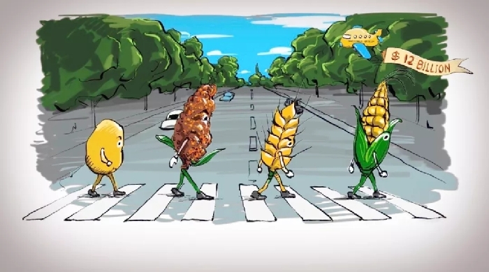 身為堅果，生活不易 | Animation: For a nut, life is hard