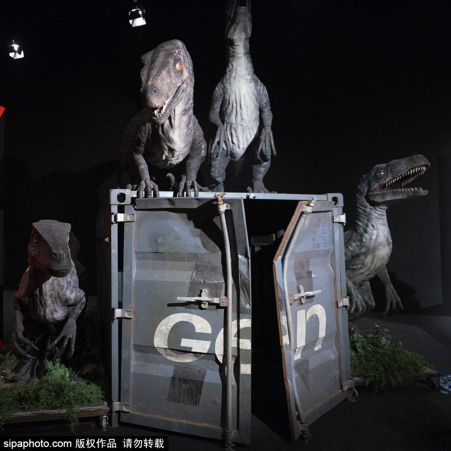 西班牙：身臨其境！《侏羅紀(jì)世界：墮落的王國(guó)》展覽在馬德里舉行