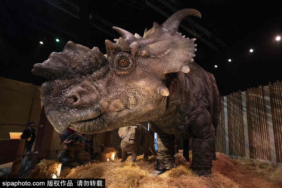 西班牙：身臨其境！《侏羅紀世界：墮落的王國》展覽在馬德里舉行